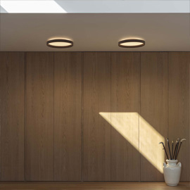 Fly 45cm Ceiling Light